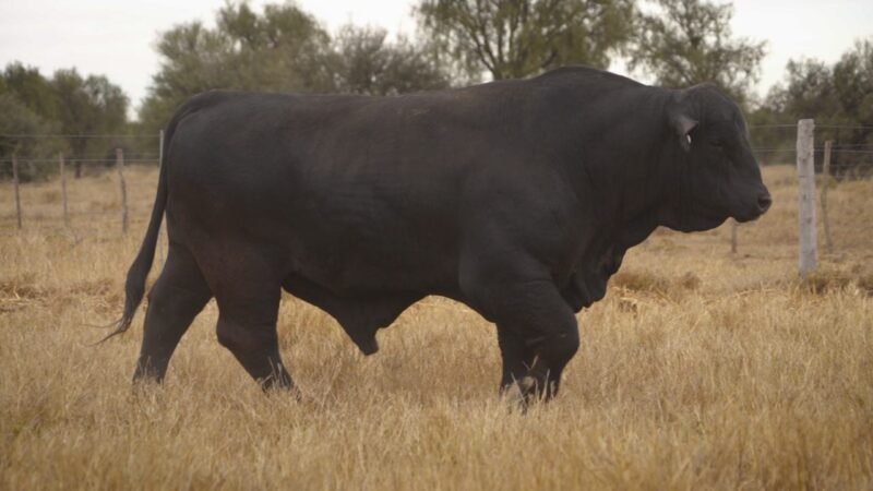 LOTE 16 RP 12101 EL PORVENIR