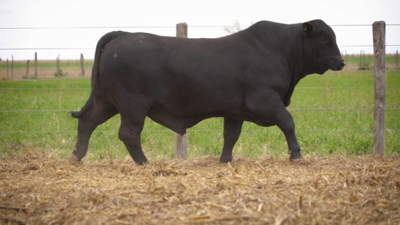 LOTE 15 RP 12111 EL PORVENIR