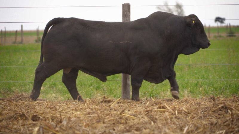 LOTE 7 RP 12170 EL PORVENIR