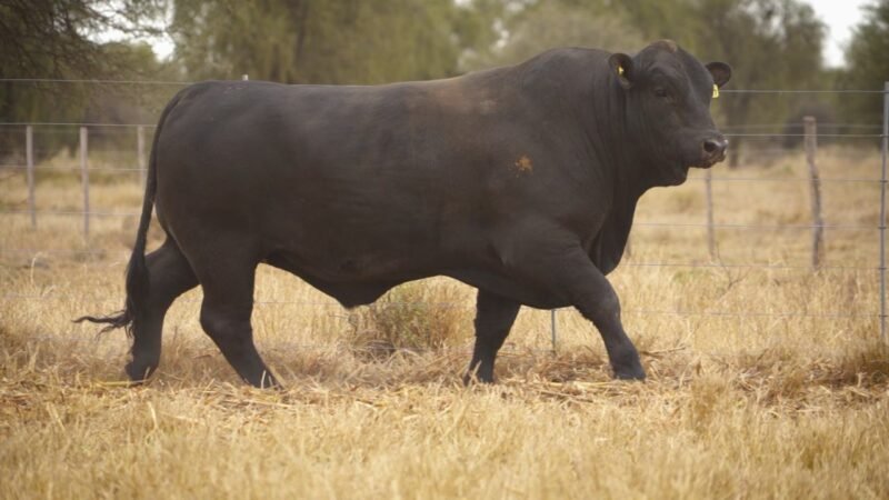 LOTE 21 RP 12307 EL PORVENIR