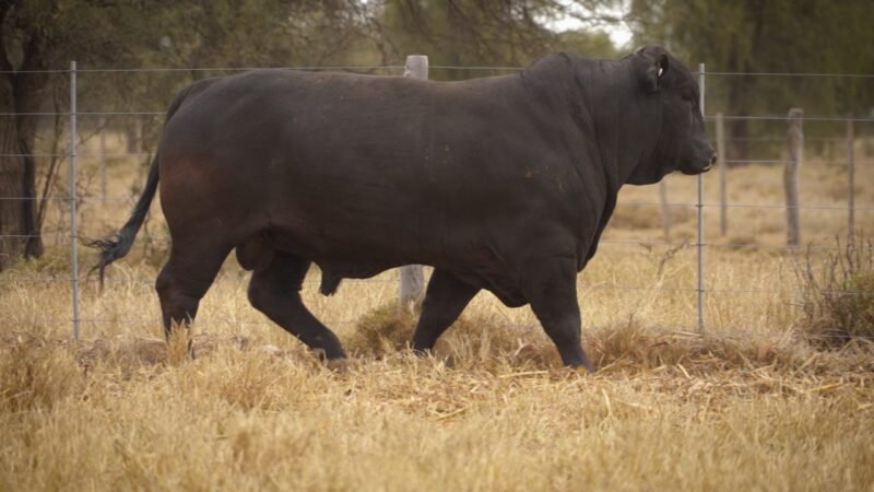LOTE 24 RP 12325 EL PORVENIR