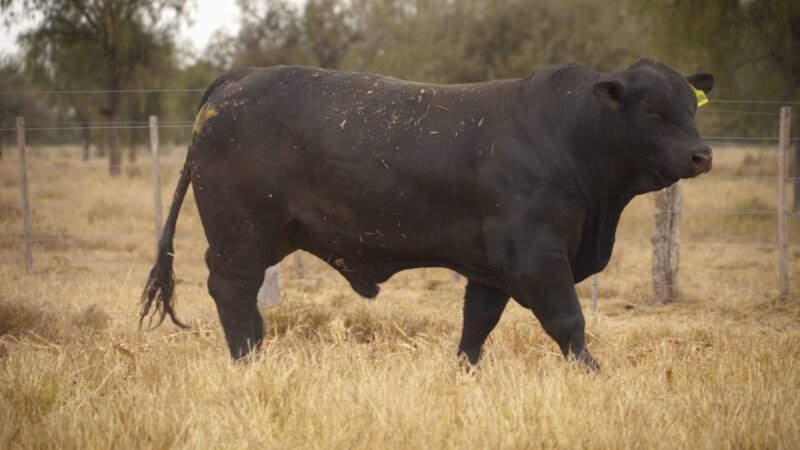 LOTE 21 RP 12386 EL PORVENIR
