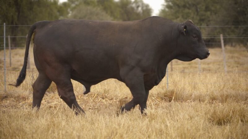 LOTE 22 RP 12394 EL PORVENIR