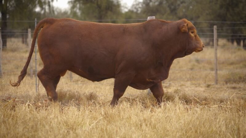LOTE 23 RP 12411 EL PORVENIR
