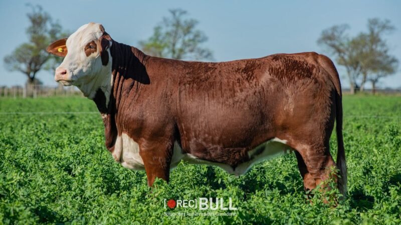 LOTE 34 RP 13892 - 1022U EL AMARGO