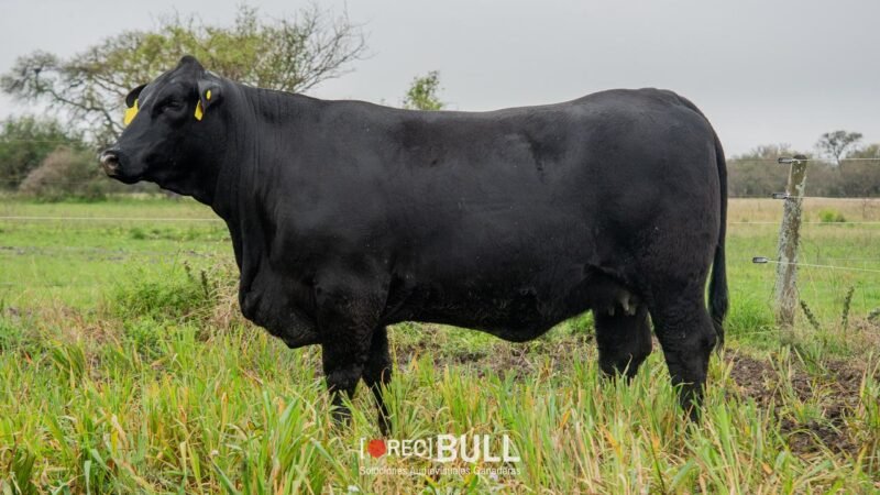 LOTE 42 RP F100 LA VICTORIA