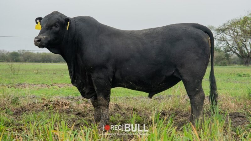 LOTE 19 RP F101 LA VICTORIA
