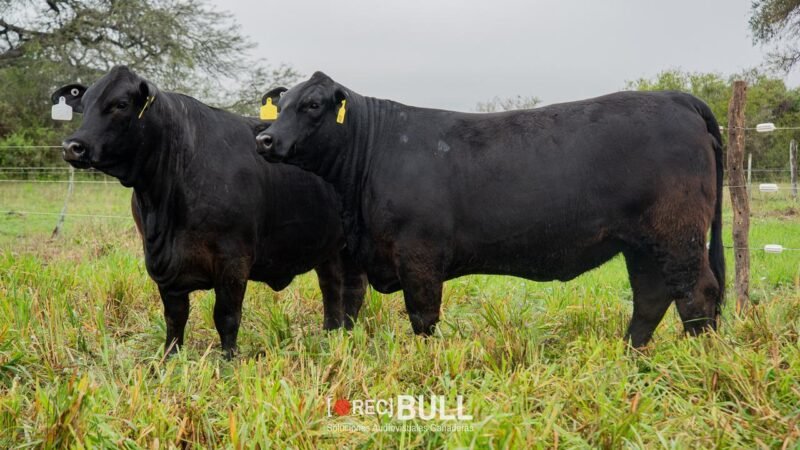 LOTE 43 RP F88 - F116 LA VICTORIA