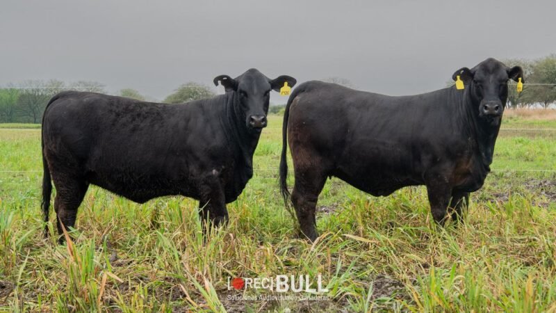LOTE 45 RP F120 - F126 LA VICTORIA