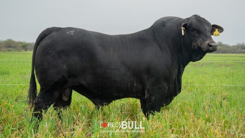LOTE 2 RP F49 LA VICTORIA