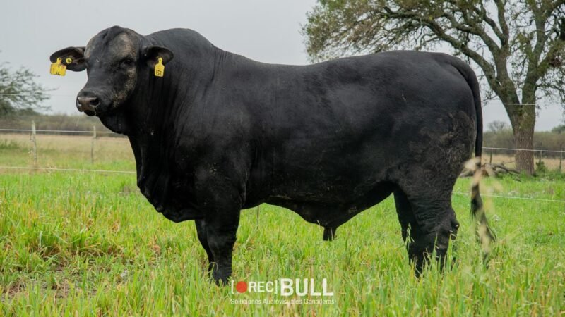 LOTE 3 RP F57 LA VICTORIA