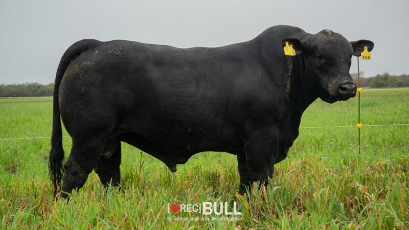 LOTE 18 RP F59 LA VICTORIA