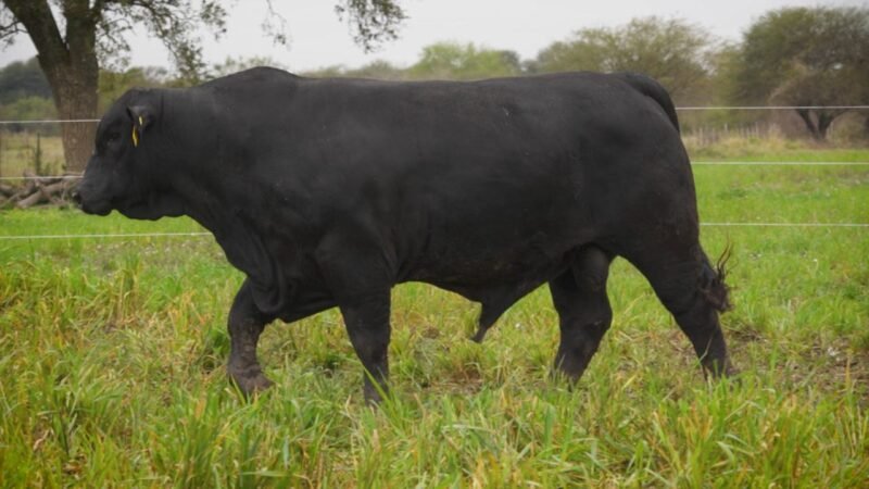 LOTE 19 RP F105 LA VICTORIA