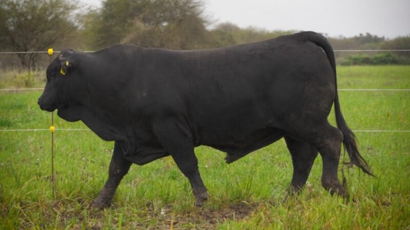 LOTE 20 RP F123 LA VICTORIA