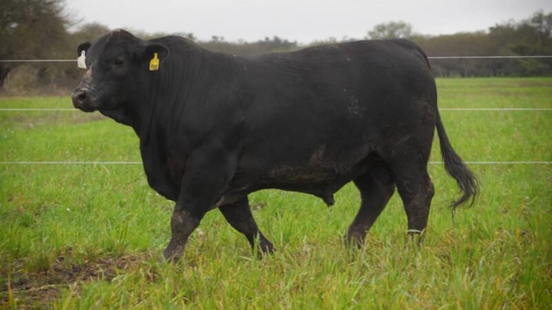 LOTE 20 RP F125 LA VICTORIA