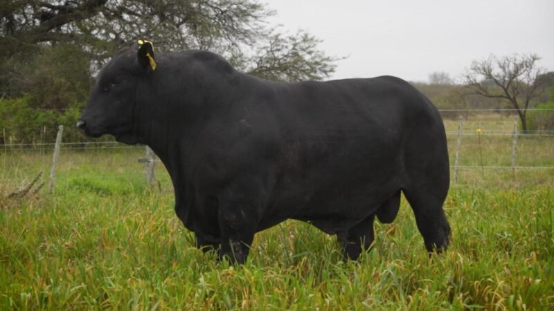 LOTE 2 RP F43 LA VICTORIA