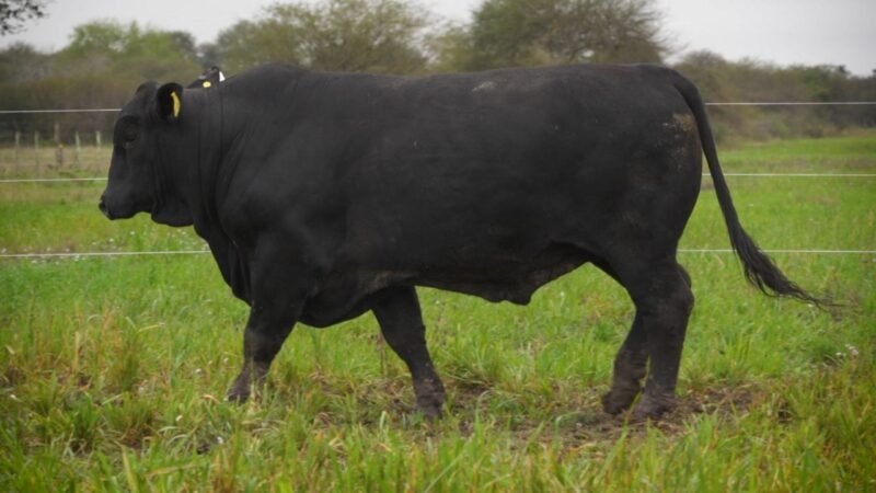 LOTE 18 RP F73 LA VICTORIA