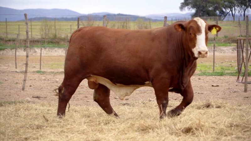 LOTE 24B RP 4345 BRAFORD