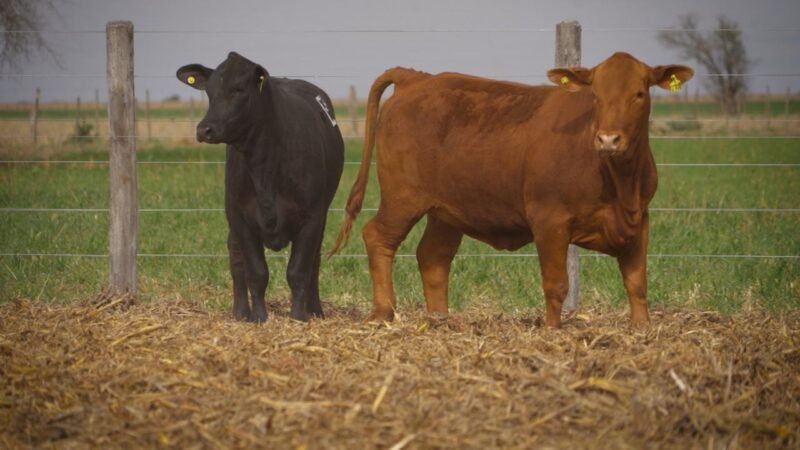 LOTE 57 RP 12708 - 12748 EL PORVENIR