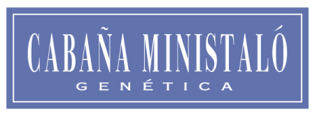 Logo-Ministalo_lila